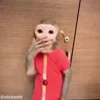 🫢