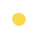 🟡