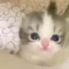 🤭