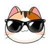 😎