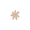 ⭐️
