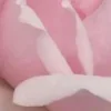 🤩