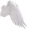 🕊