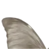🦋