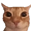 🙂