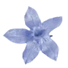 🕊️