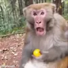 😯