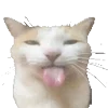 👅