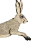 🐰
