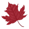 🍁