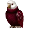 🦜