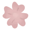 🌸