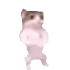 💃