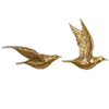 🕊️