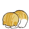 🐈