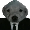 🐶