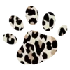 🐾
