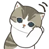 🐱