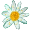 🌼