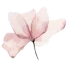 🌸
