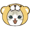 🐻