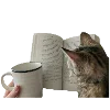 😸