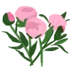 🌺