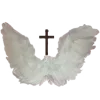 🪽