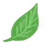 🍃
