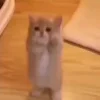 🙂