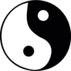 ☯️