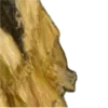 🖼️