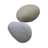 🐚