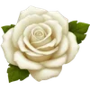 🌹