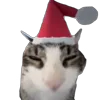 🎄