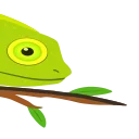 🦎