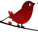 🐦