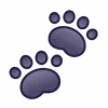🐾