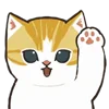 🐱