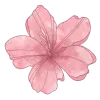 🌸