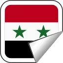 🇸🇾