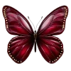 🦋