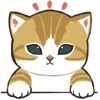 🐱