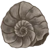 🐌