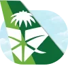 🇸🇦