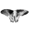 🦋