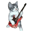🎸