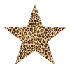 ✨