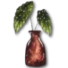 🌱