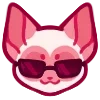 😎